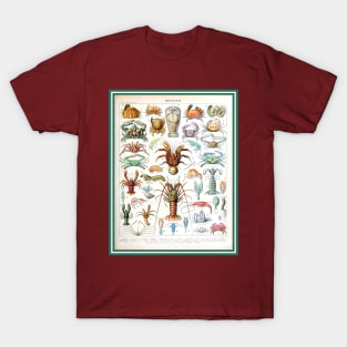 Crustaceans Creatures of the Sea T-Shirt